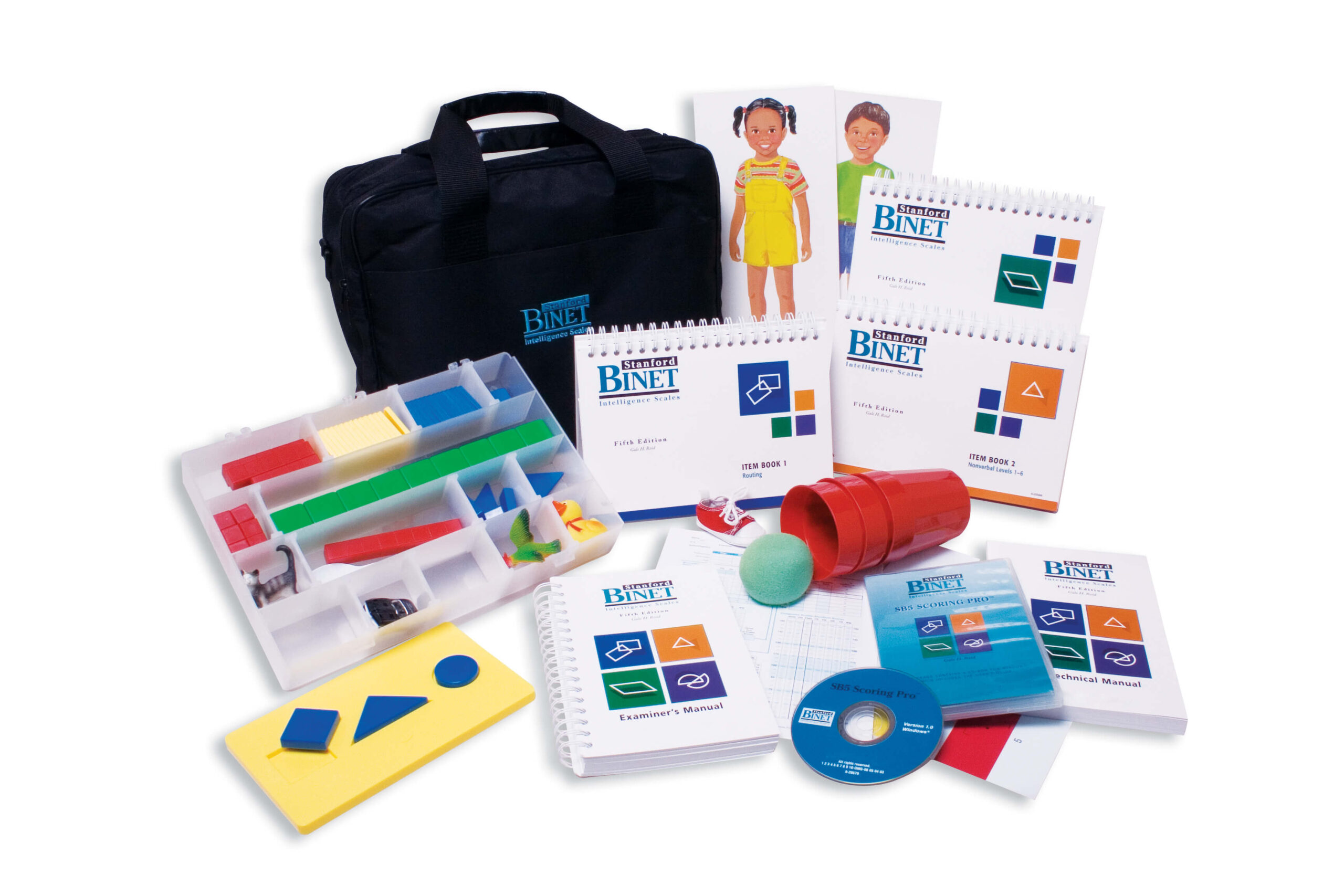 Standford Binet Testi